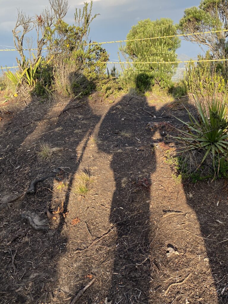 Caminando al atardecer de regreso